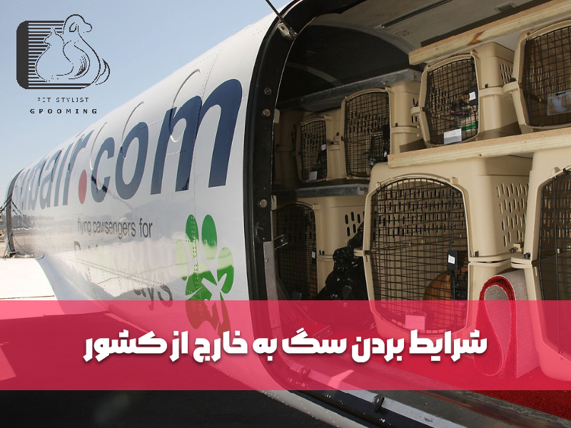 شرایط بردن سگ به خارج از کشور